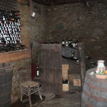 Vecchia Pira Stazzona